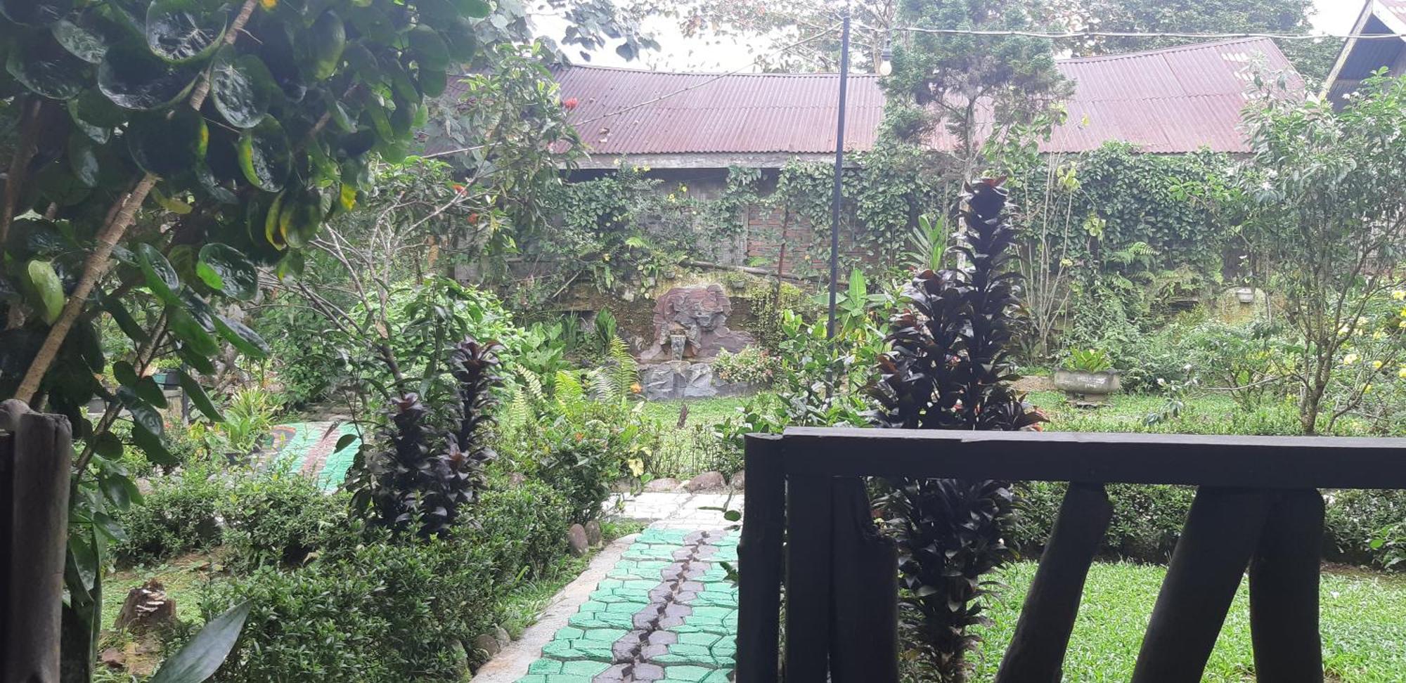 Mountain View Cottages & Villa Tangkahan Exterior photo