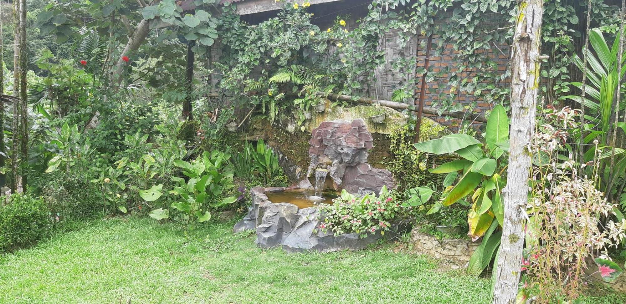 Mountain View Cottages & Villa Tangkahan Exterior photo